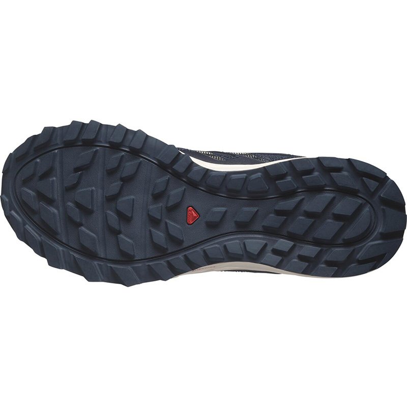 Chaussures Trail Homme Salomon Wander