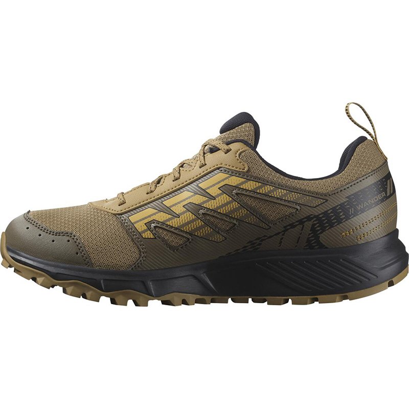 Chaussures Trail Homme Salomon Wander GTX