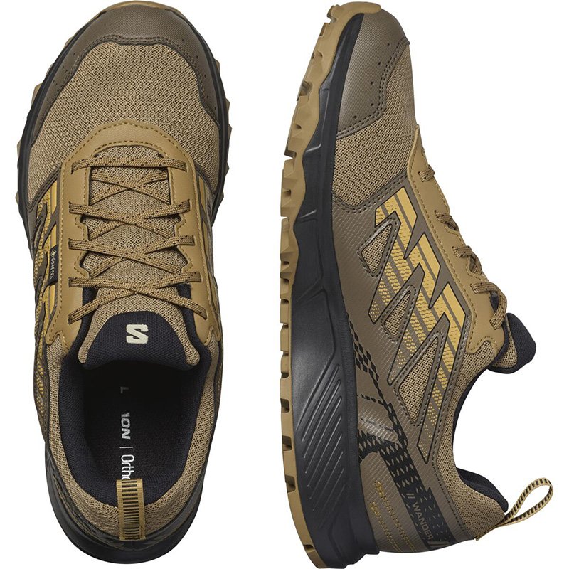 Chaussures Trail Homme Salomon Wander GTX