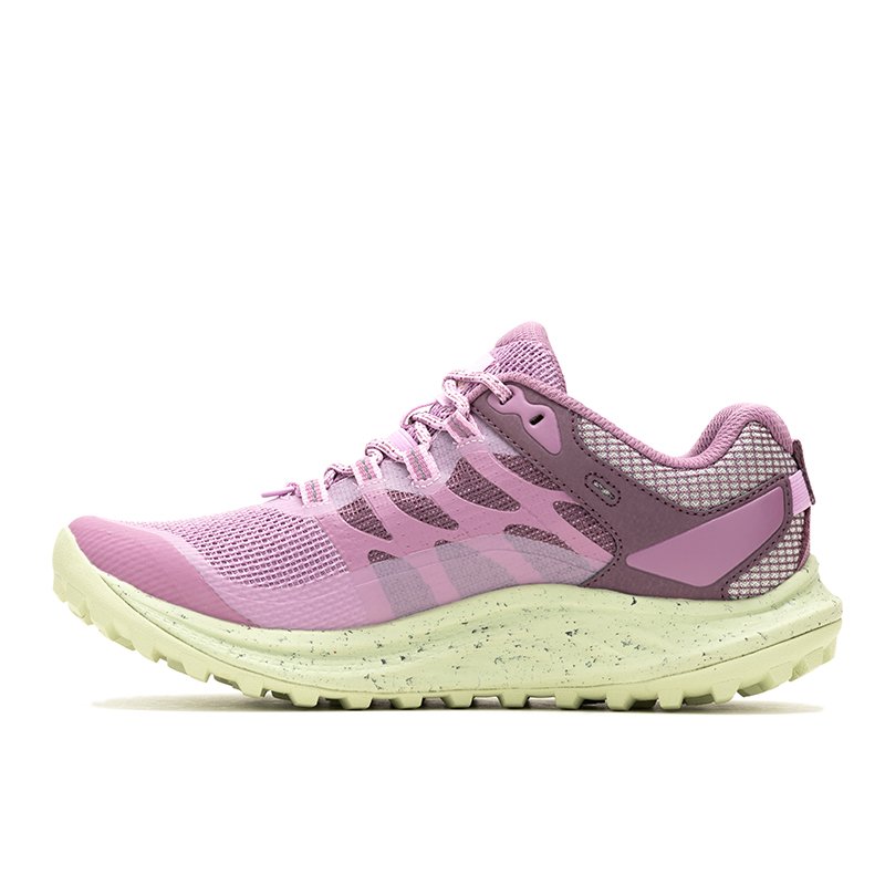 Chaussures Randonnée Femme Merrell Antora 3