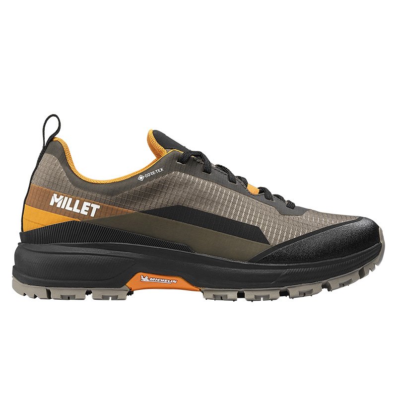 Chaussures Randonnée Homme Millet Wanaka GTX