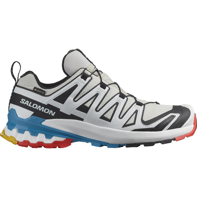 Chaussures Randonnée Femme Salomon XA PRO 3D V9 GTX
