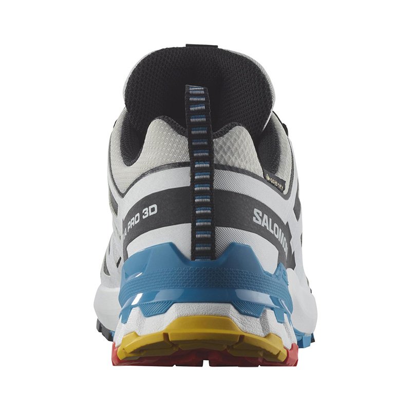 Chaussures Randonnée Femme Salomon XA PRO 3D V9 GTX