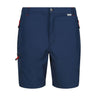 Short Randonnée Homme Regatta Leesville II