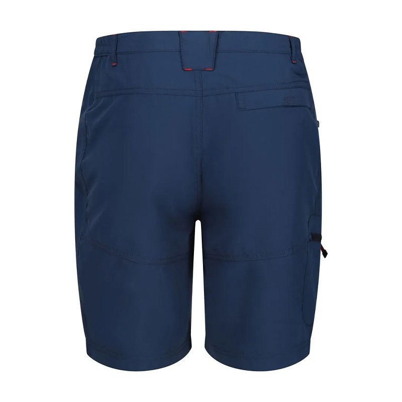 Short Randonnée Homme Regatta Leesville II