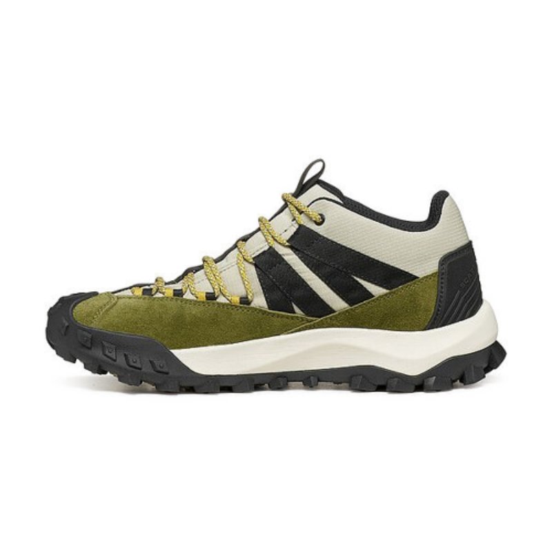 Chaussures Randonnée Homme Scarpa Rove