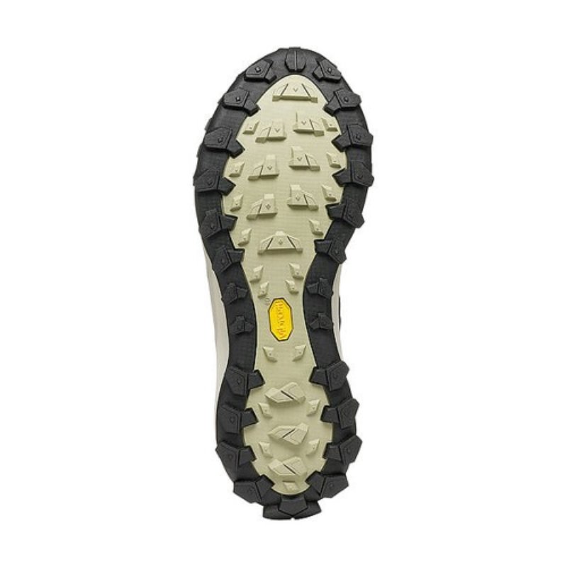 Chaussures Randonnée Homme Scarpa Rove