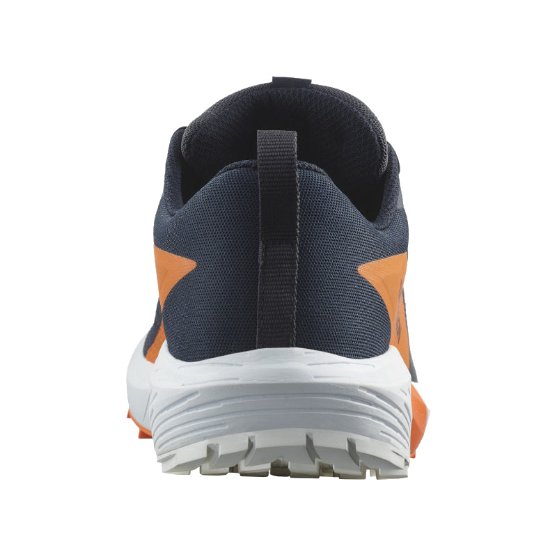 Chaussures Running / Trail Homme Salomon Sense Ride 5 GTX