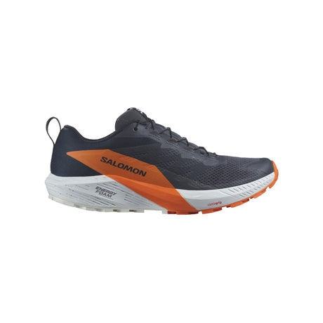 Chaussures Running / Trail Homme Salomon Sense Ride 5 GTX