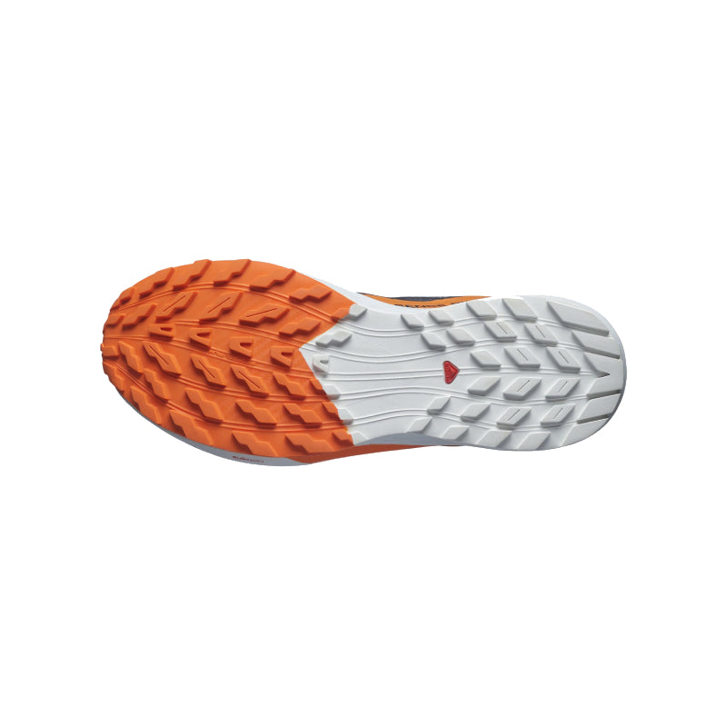 Chaussures Running / Trail Homme Salomon Sense Ride 5 GTX