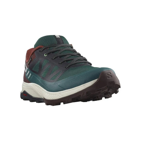 Chaussures Running / Trail Homme Salomon Outrise GTX