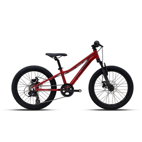 Vélo Enfant Polygon Relic 20