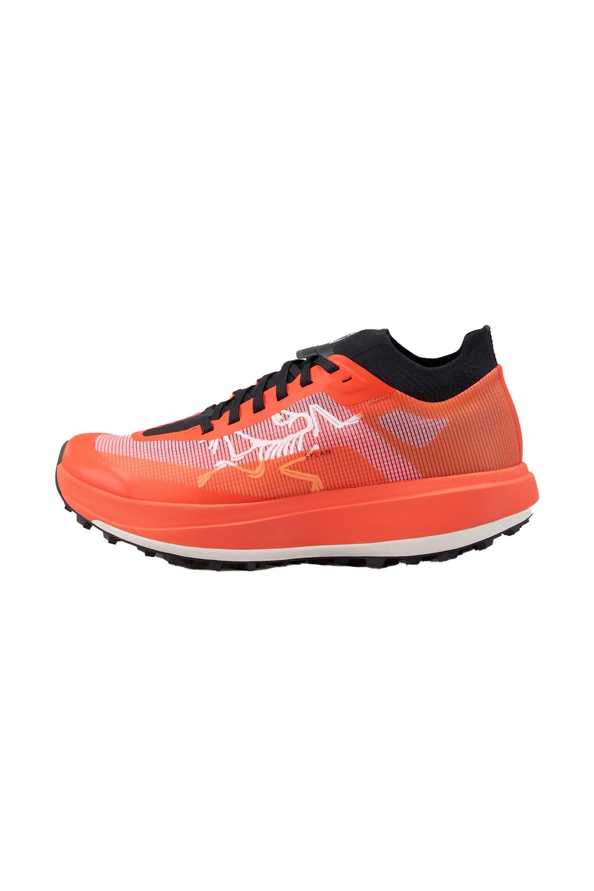 Chaussures Randonnée Homme Arc'teryx Sylan Pro