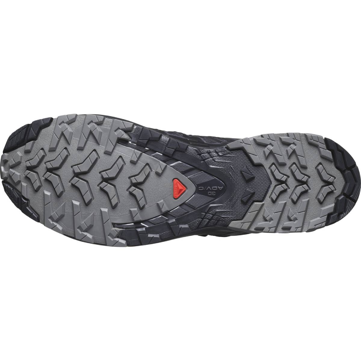 Chaussures Randonnée Homme Salomon XA PRO 3D V9 GTX
