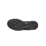 Chaussures Randonnée Homme Salomon Quest Rove GTX