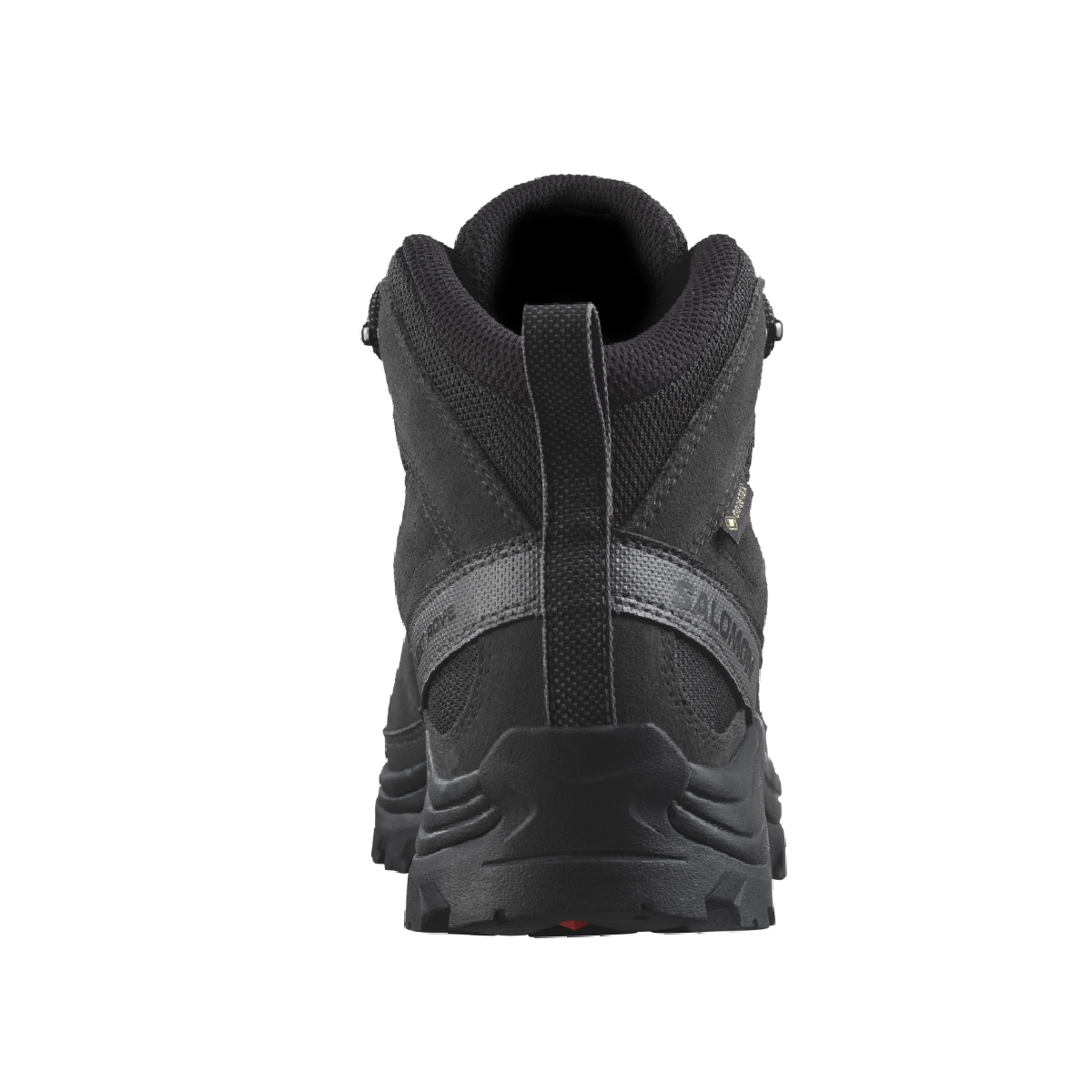 Chaussures Randonnée Homme Salomon Quest Rove GTX