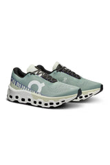 Chaussures Running Homme ON Cloudmonster 2