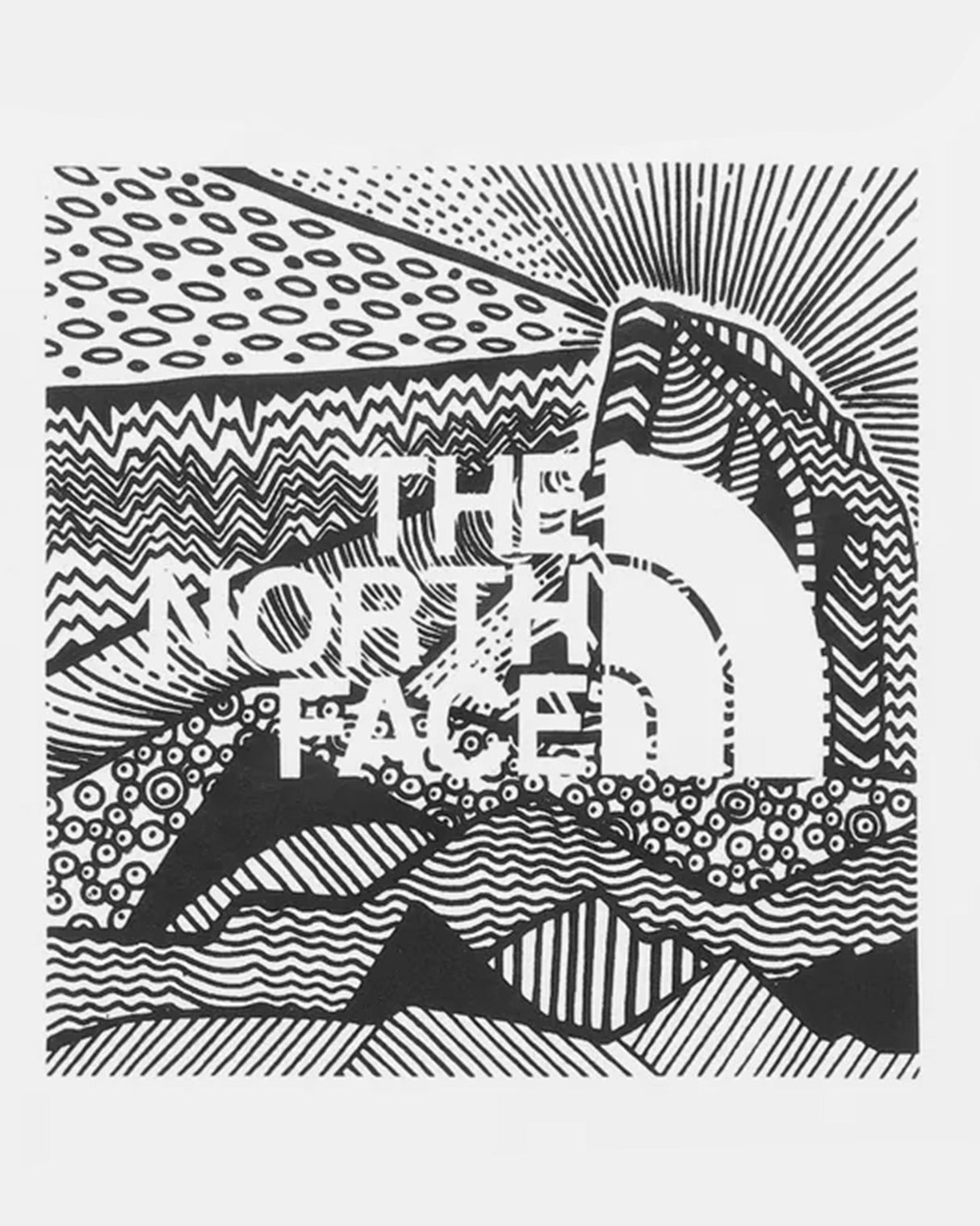 T-Shirt Randonnée The North Face S/S Box Nse Celebration Tee