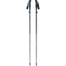 Bâtons Randonnée Black Diamond Distance FLZ Poles