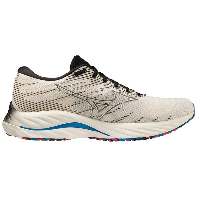 Chaussures Running Homme Mizuno Wave Rider