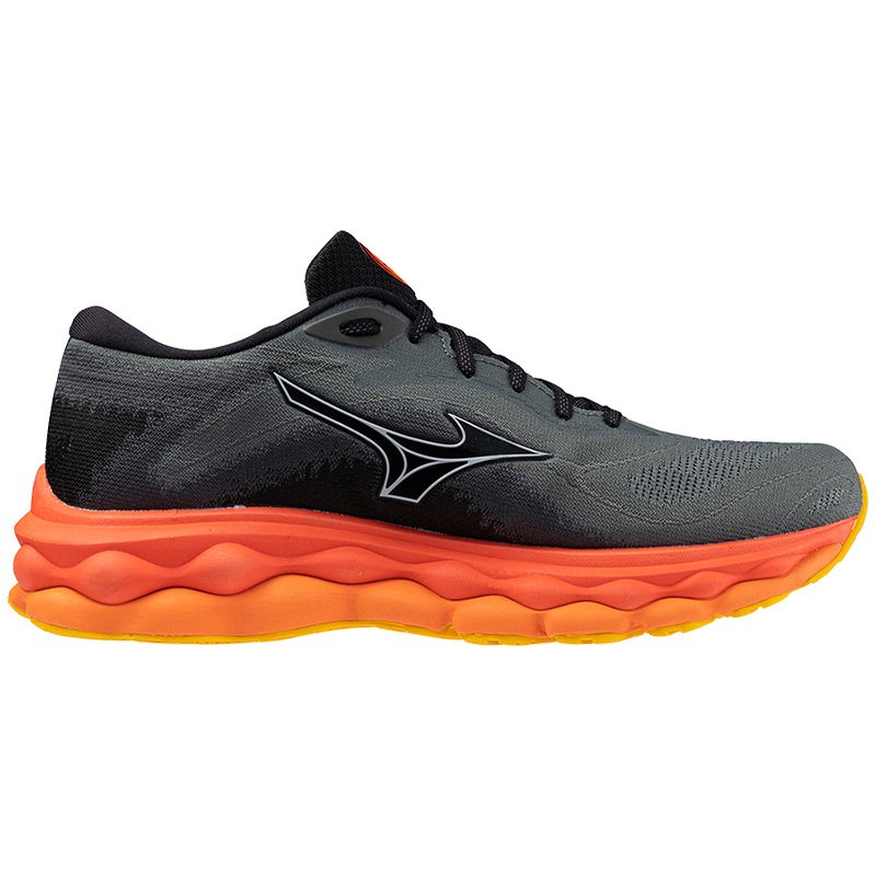 Chaussures Running Homme Mizuno Wave Sky 7