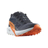 Chaussures Running / Trail Homme Salomon Sense Ride 5 GTX