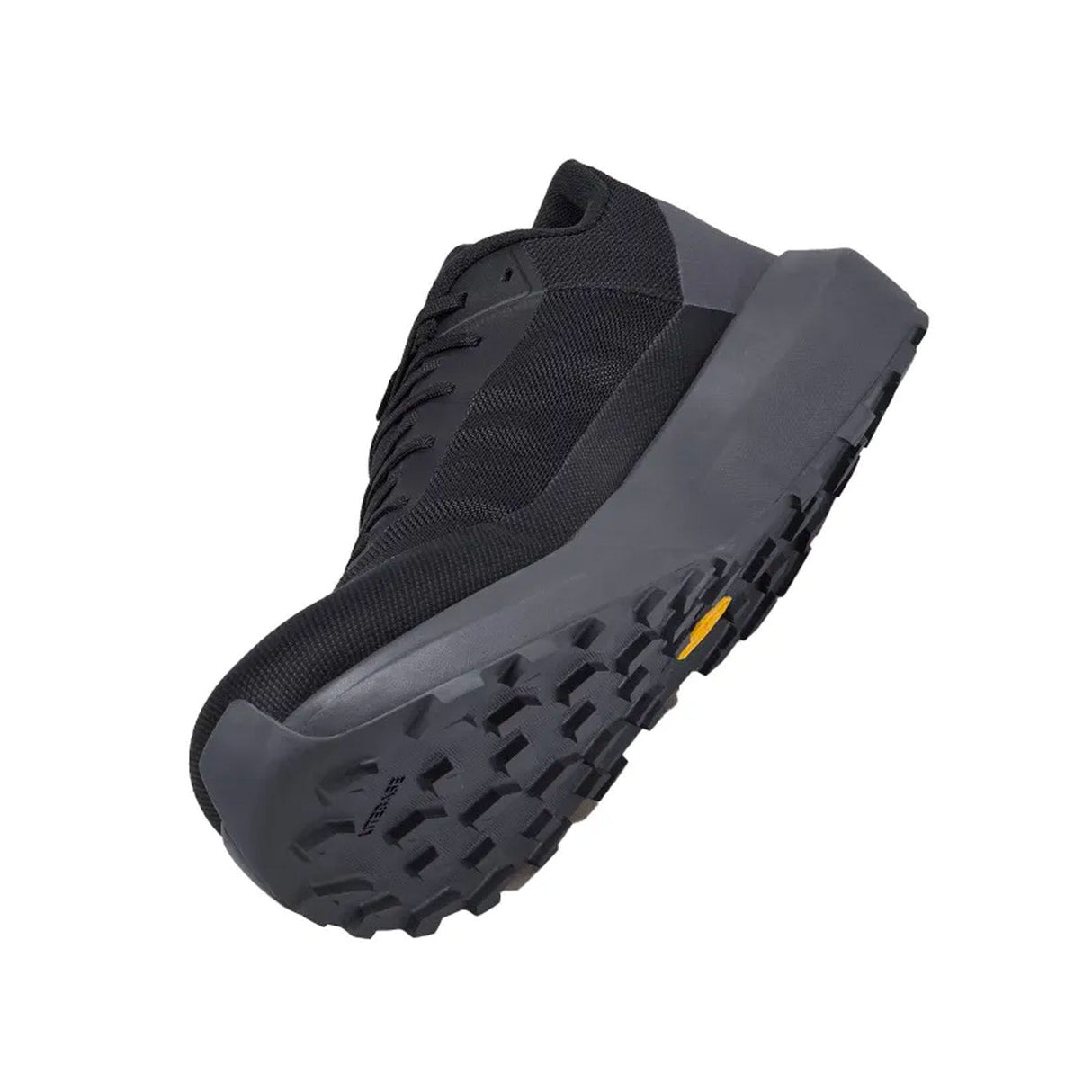 Chaussures Randonnée Homme Arc'teryx Norvan LD 4