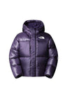 Veste Ski The North Face Pertex Down