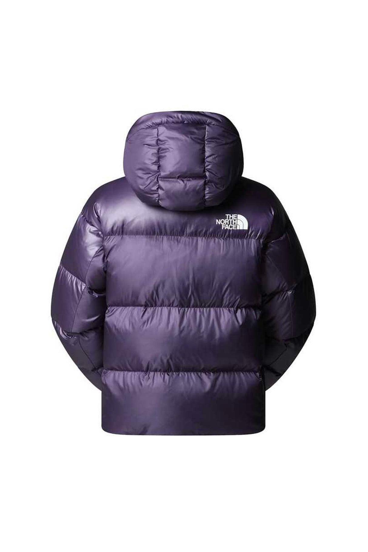 Veste Ski The North Face Pertex Down