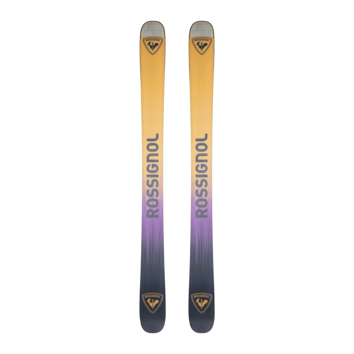 Ski Test Rossignol Sender Free 118 + SPX 12